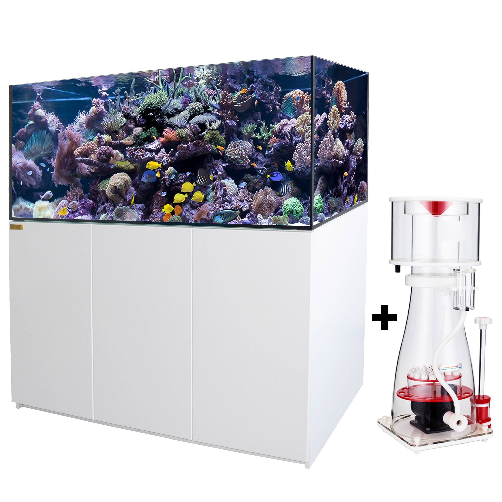 185 Gallon Coral Reef Aquarium Ultra Clear Glass Tank & Built in Sump –  Electric Zip